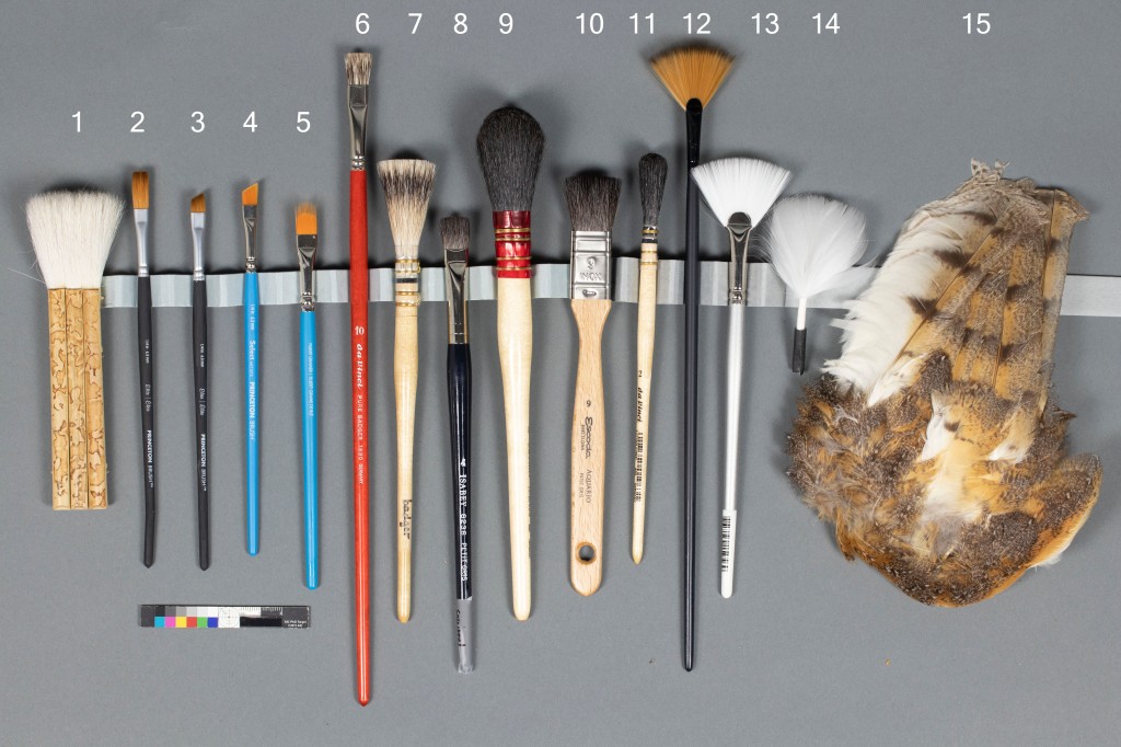 Brush it off! Tools for Dry Cleaning Feathers and Bird Taxidermy